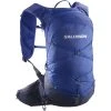 SALOMON XT 15 SURF THE WEB/BLACK IRIS 23